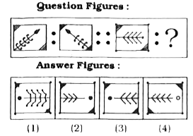 Select the related figure from the given alternatives.