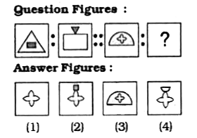 Select the related figure from the given alternatives.