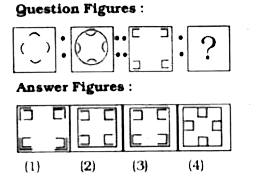 Select the related figure from the given alternatives.