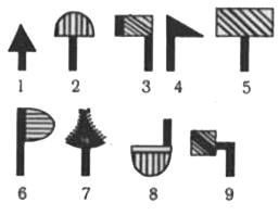 In a series of figures is given which can be grouped into classes: Select the groups into which the figures can be classifled?