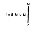 If a mirror is placed on the llne MN, then which of the answer figures is the right image of the given figure?