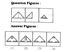 A triangular sheet of paper has been foided and punched as shown in the following series of figures. How will it appear when opened?