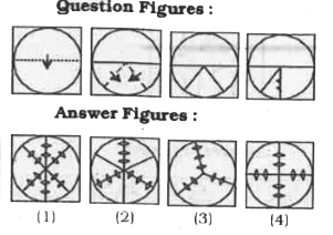 A piece of paper is folded and cut as shown below in the given question figures. From the given answer figures, indicate how it will appear when opened.
