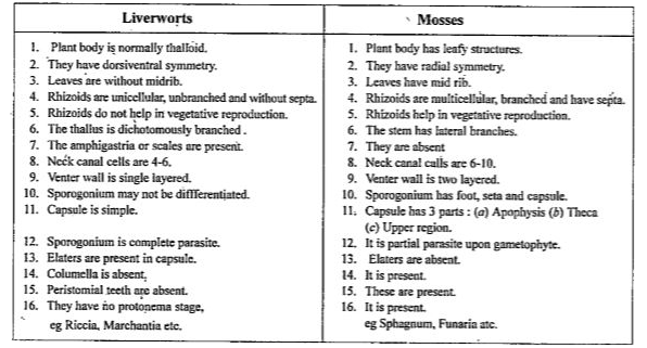 ocr_image