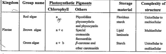 ocr_image