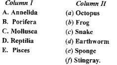 Match the items of column I to the appropriate items in column II.