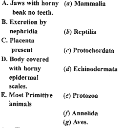 Match the items of column I to the appropriate items in column II.