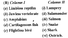 Match the terms in Column I with those in Column II.