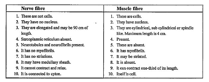 ocr_image