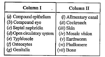 Match the terms in column I with those in column II.