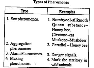 ocr_image