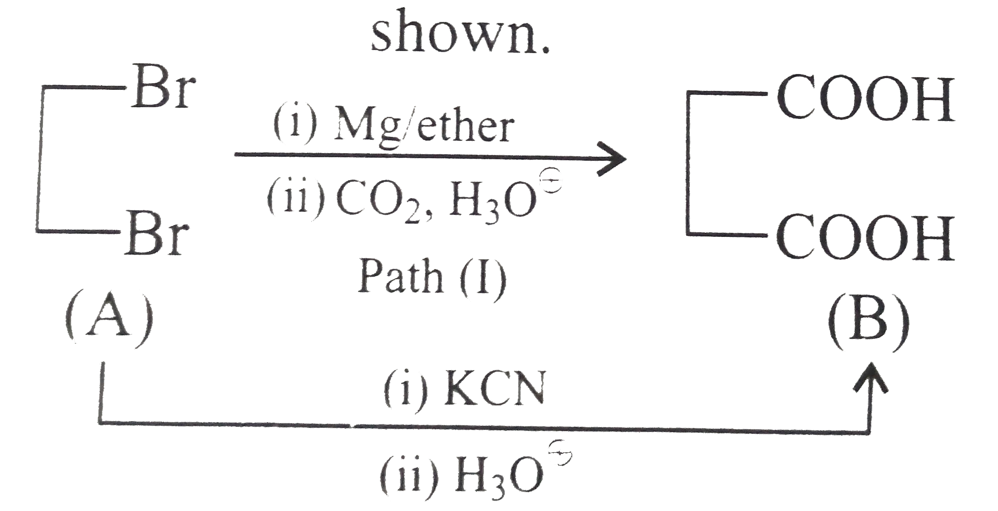 Succinic acid (B) can be prepared by both nitrile and carbonation method as shown.      Both paths give good yields of (B).   (A) with Mg would lead to the loss of vicinal Br atoms to give alkene and MgBr2.