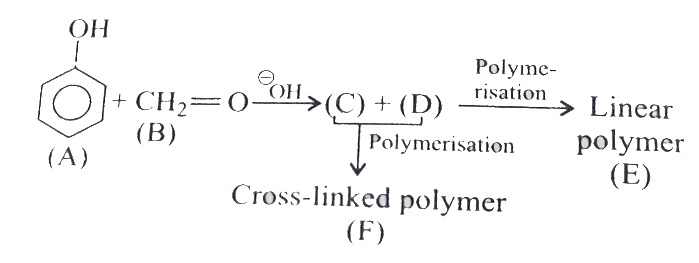 The linear polymer(E)is: