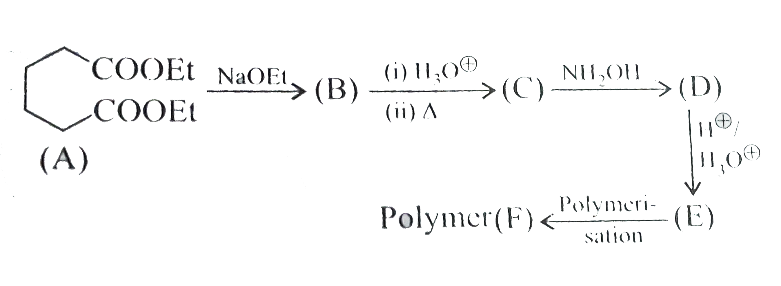 Which of the following groups does the polymer(F)contain?