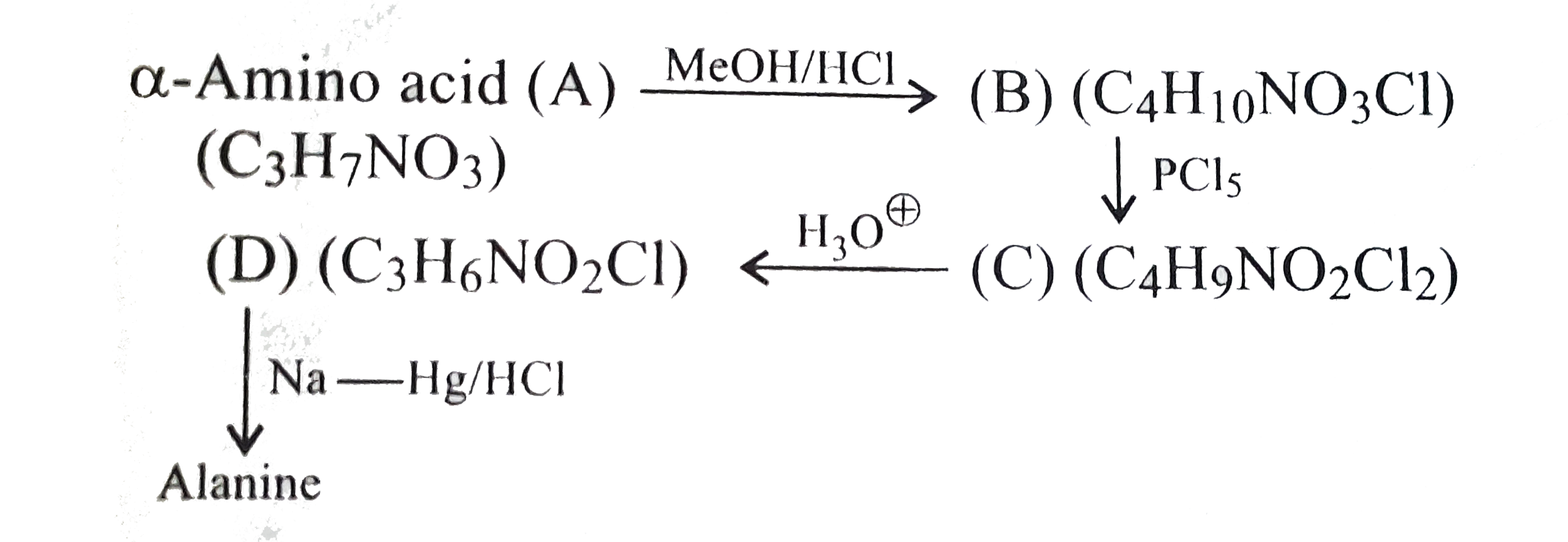 Compound 'A' has many functional groups.
