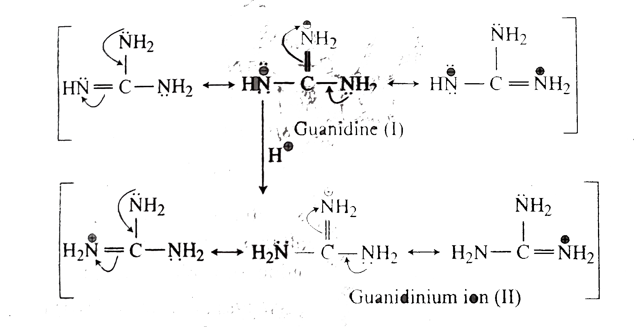 A Which N Of Guanidine I Is More Basic And Is More Likely