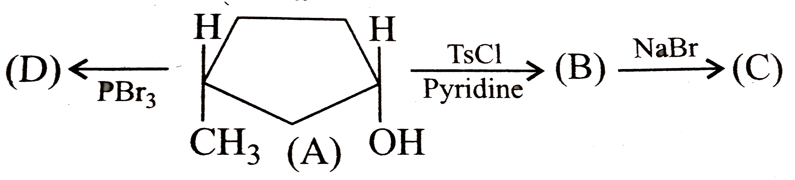 Identify (B),(c), and (D).   .