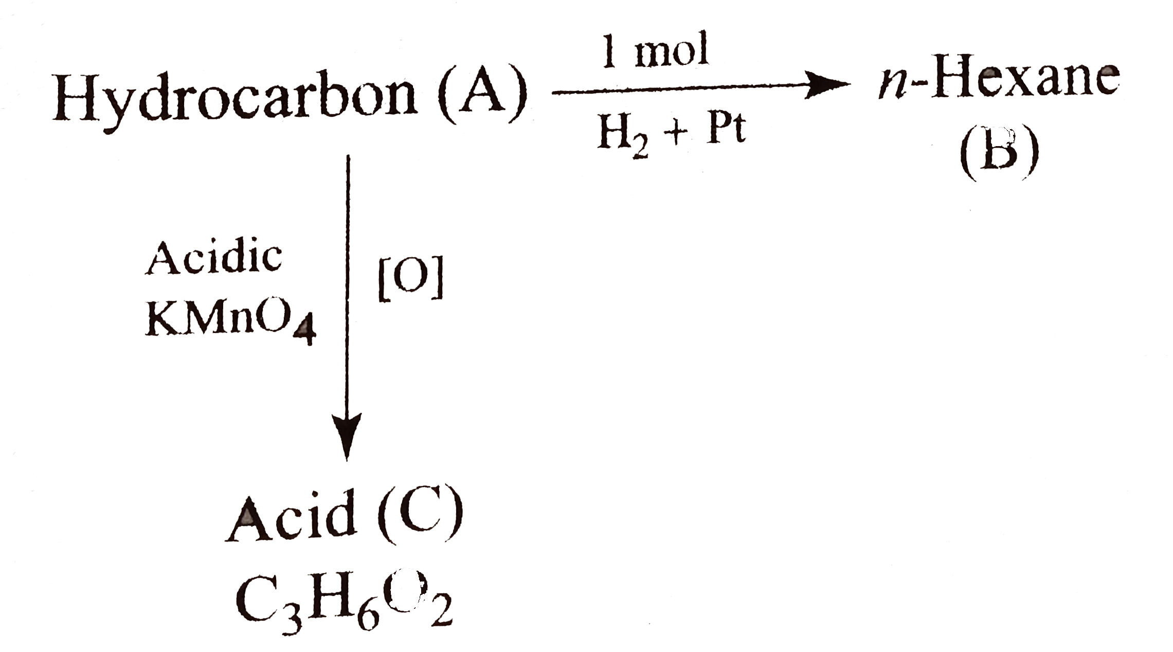 Identify (A) to (C).