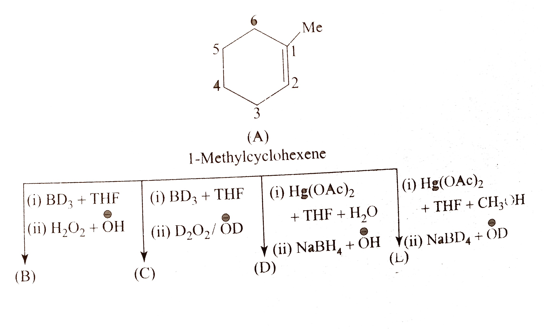 Compound (B) is :