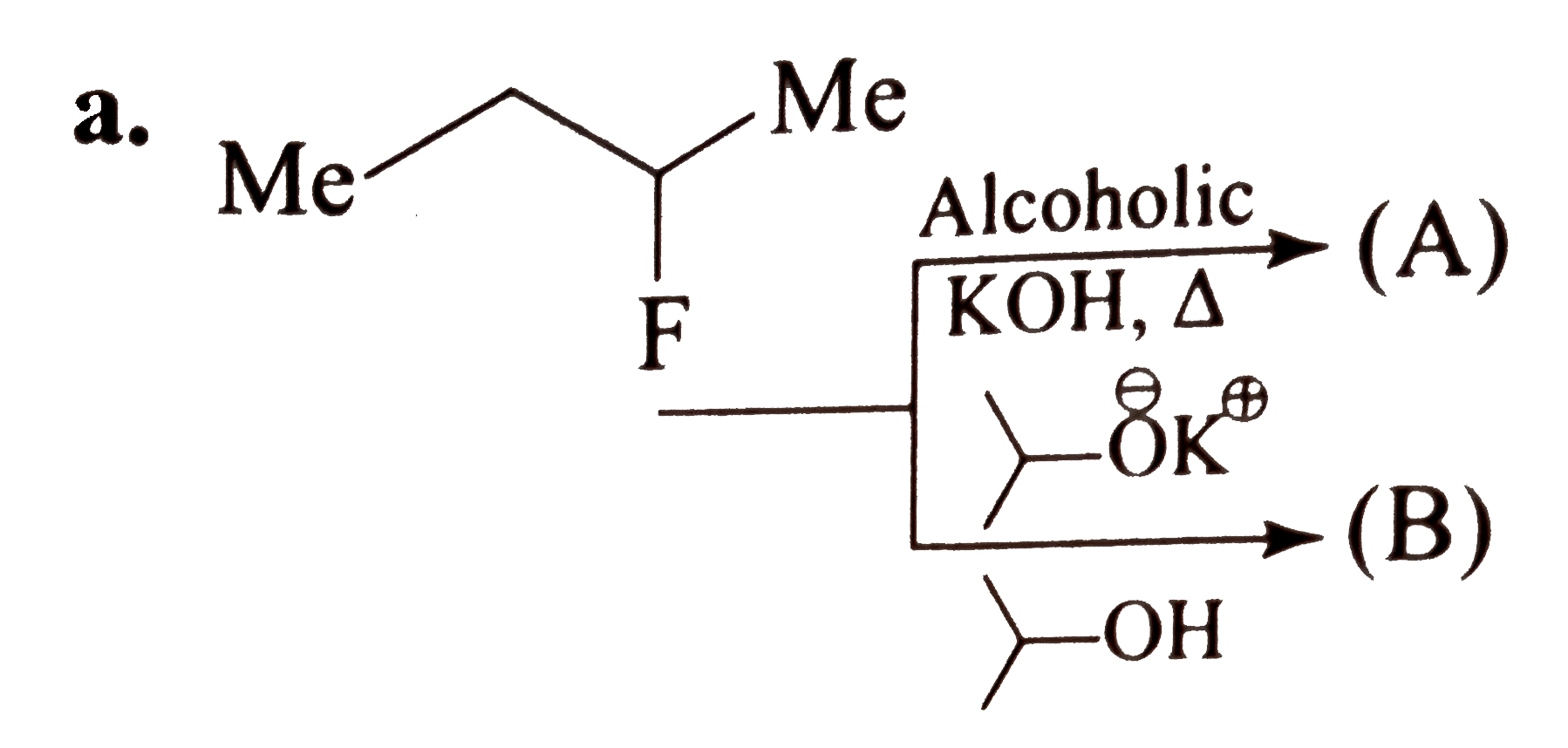 Give the majore and minor products of the following reactions.     a.      b.