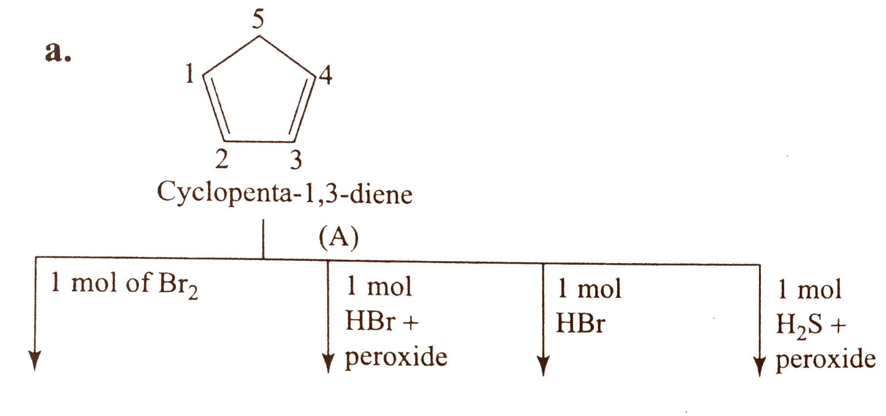 Give the major products (not stereoisomers) of the following :    a.     b.  1-Ethylcyclopenta -1,3- diene    c. Give the major and the minor products:   Buta-1,3-diene       d.  Cycloocta -1,3,5-triene   e.  Hexa-2,4- diene   f. Penta -1,3-diene