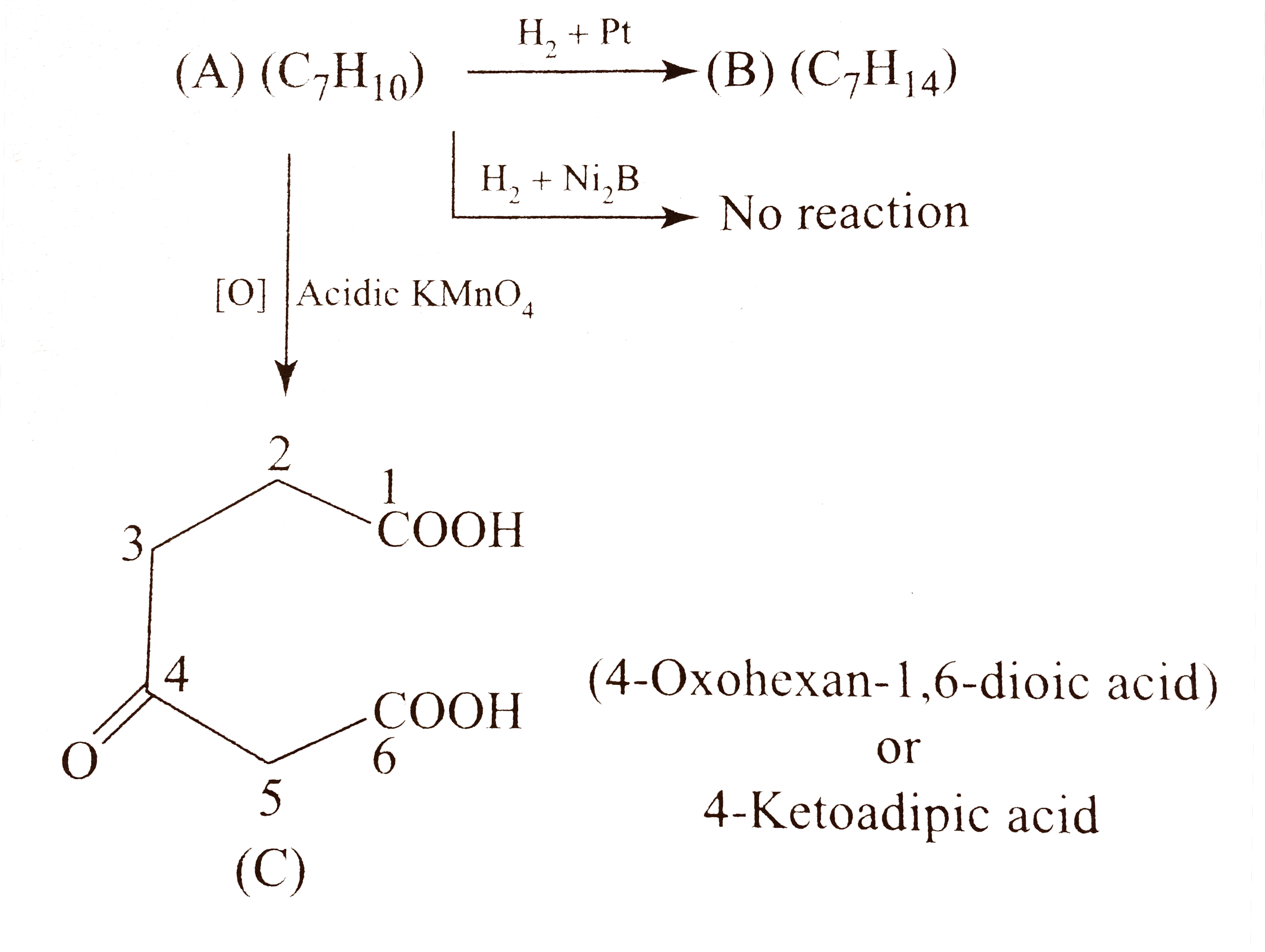 Identify (A), (B),  and (C) in the following reaction.