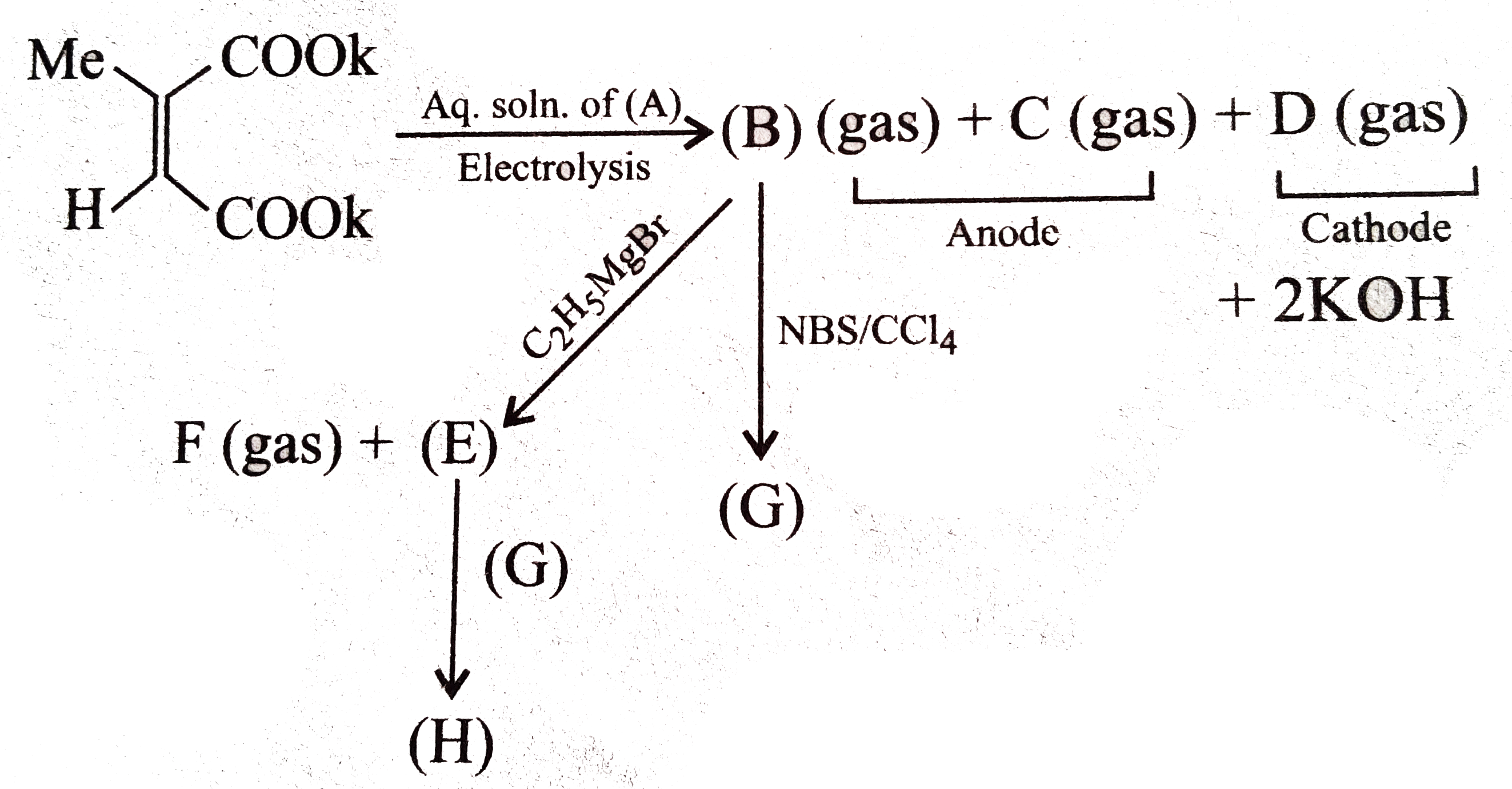 In the following sequence of reactions, products (A) to (H) are formed:      The gases (B), (C), and (D), respectively, are: