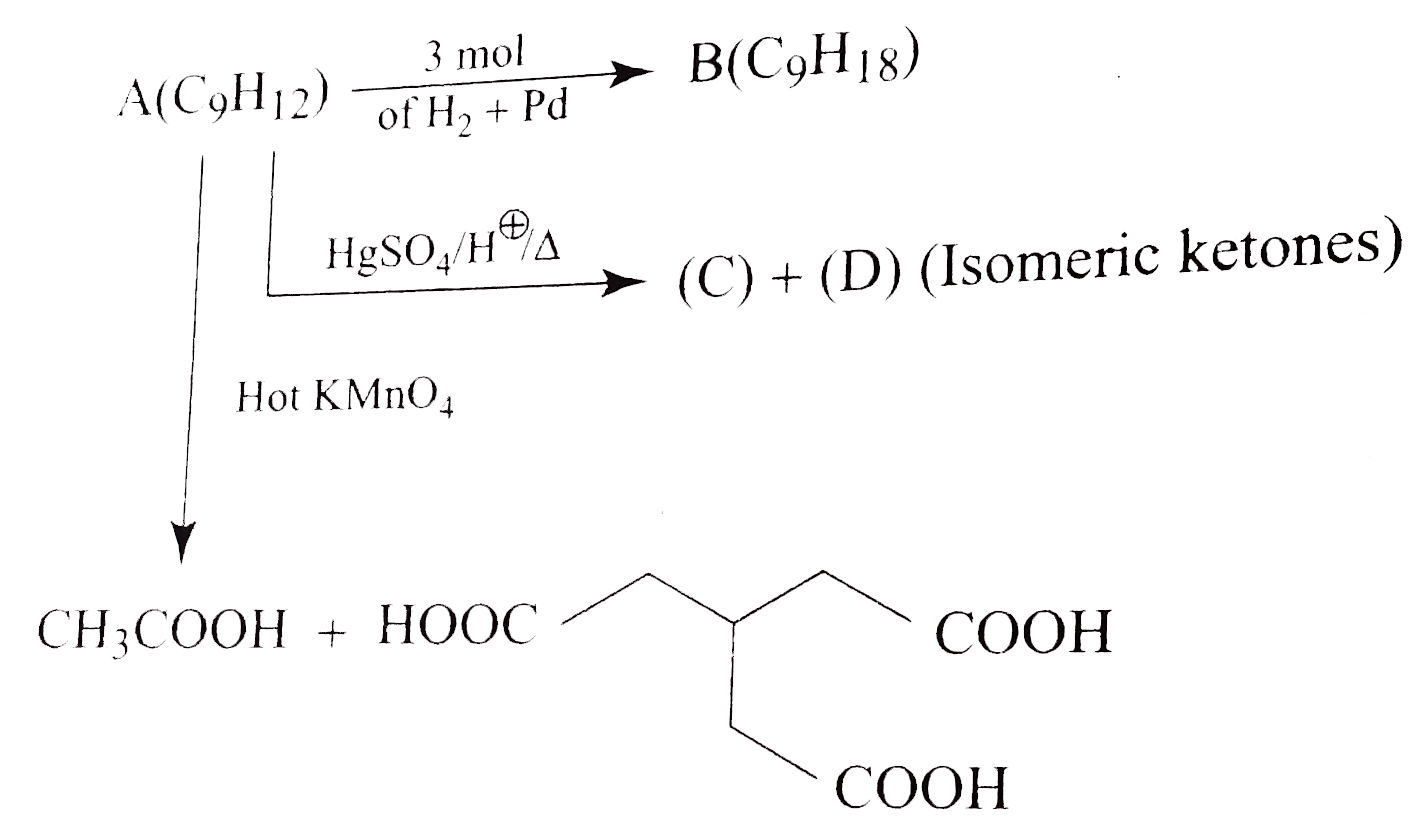 Identify A to D.