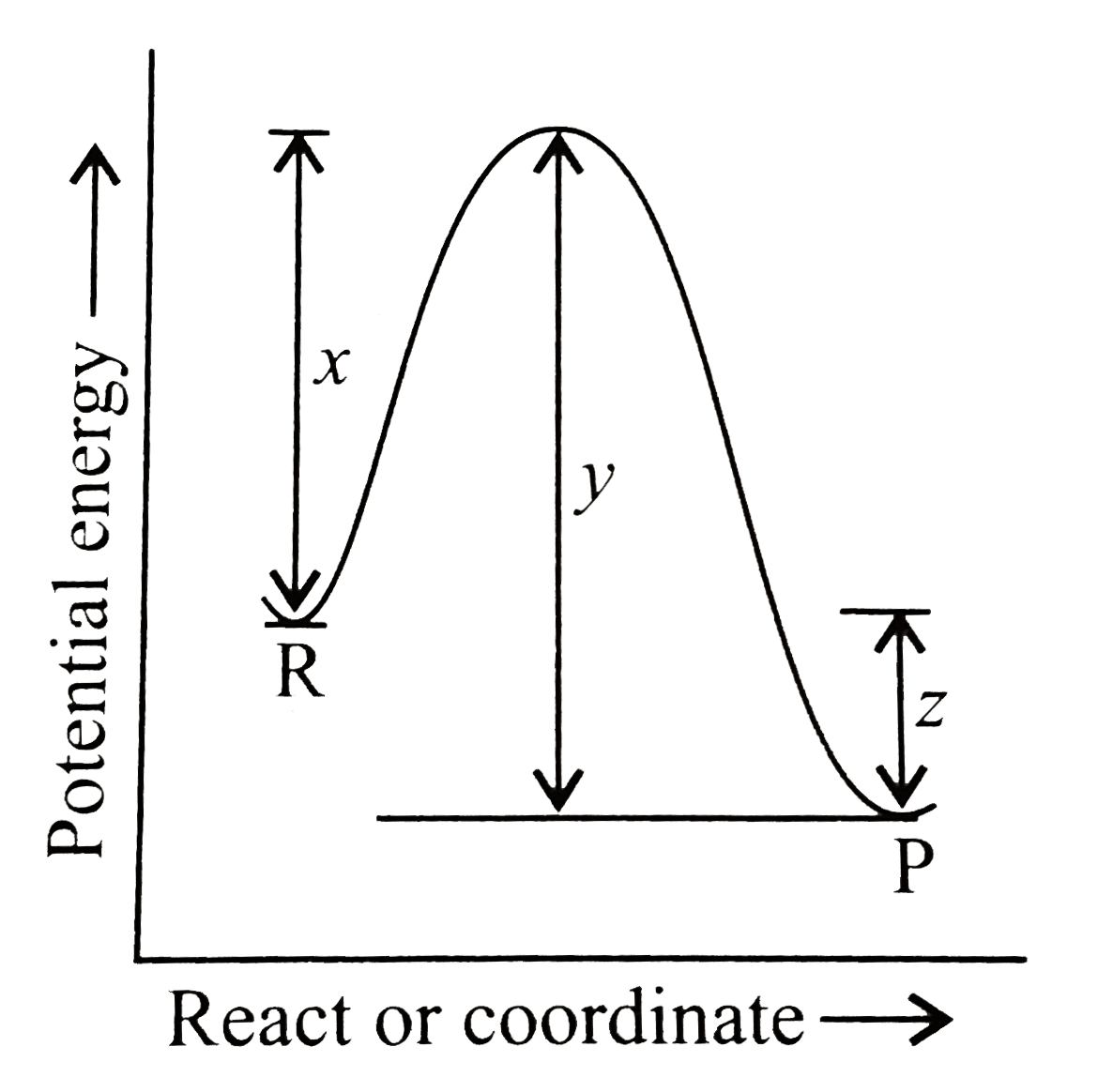 The potential energy diagram for a reaction R rarr P is given below. Delta H^(ɵ) of the reaction corresponds to the energy