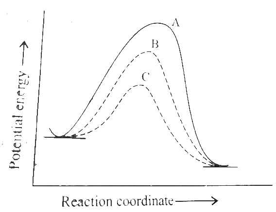 Substances which alter the velocity of a reaction by mere presence, without undergoing any change in mass and compossition are termed catalyst and the phenomenon is known as catalysis   In homogenous catalytic reactions, there are three alternative paths A, B, and C (shown in figure). Which one of the following indicates the relative ease with which the reaction can take place?