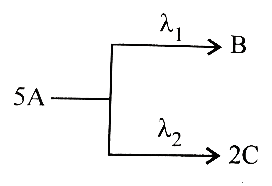 A follow parallel path of first-order reactions giving B and C as   If the initial concentration of A is 0.25 M, calculate the concentration of C after 5 hr of reaction.