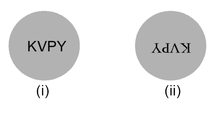 The word ‘’KVPY’’ is written on a board and viewed through different lense such that board is at a distance beyond the focal length of the lens.      lgnorging magnification effects, consider the following statements   (I) Image (i) has been viewed from the planar  side of a plano-convex lens and image (ii) from the planar side of a plano-convex lens.    (II) Image (i) has been viewed from the concave side of a plano-concave lens and image (ii) from the convex side of a plano-convex lens.   (iii) Image (i) has been viewed from the cocave side of a plano-concave lens and image (ii) from the planar side of a plano-convex lens.    (iv) Image (i) has been viewed from the planar side of a plano-concave lens and image (ii) from the convex side of a plano-convex lens.   Which of the above statements are correct ?