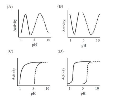 नीचे दिये गए रेखाचित्रों में ठोस एवं खण्डित रेखाएँ पाचन पथ में क्रमश: पेप्सिन एवं लार मे उपस्थित एमाइलेज की क्रियात्मकता को दर्शाती हैं।  निम्न में से कौन सा रेखाचित्र pH के सापेक्ष उनकी क्रियात्मकता (activity) को सर्वोत्तम रूप से दर्शाता है?