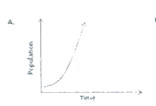 एक द्वीप पर प्रचुर मात्रा में भोजन उपलब्ध है और वहां कोई नहीं रहता है।  इस द्वीप पर कुछ खरगोशो को छोड़ दिया जाता है । यदि ये खरगोश किसी भी बीमारी, प्राकृतिक आपदा और परभक्षी के आभाव में प्रजनन करते है तो निम्न में से कौन सा रेखाचित्र उनकी आबादी में वृद्धि को सबसे अच्छी तरह से दर्शाता है?  a.  b. c. d.