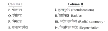 स्तम्भ  I के जीव प्रजातियों को स्तम्भ II में दिये गए उनके शारीरिक गठन की संरचनाओं से सुमेल कीजिये।        सही संयाजन का चुनाव कीजिए.