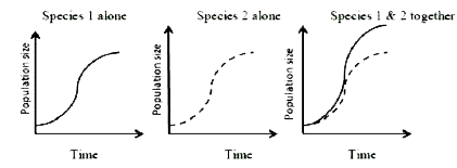 नीचे दिये गए आरेखों के आधार पर प्रजातियों 1 और 2 के मध्य पारस्परिक अन्योन्यक्रिया (interaction) का सही प्रकार निम्न में से कौन सा है?