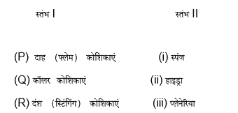 स्तंभ I में दी गयी कोशिकाओं के प्रकार को स्तंभ II में दिए गए जीवों से मिलाये. नीचे दिए गए विकल्पों में से सबसे सटीक संयोजन वाले विकल्प का चुनाव करें