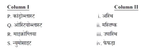 स्तम्भ (column) I में उपस्थित कोशिकाओं के प्रकार को स्तम्भ II में उन अंगों जिनका ये हिस्सा हैं से सुमेल कीजिये।       सही संयोजन का चुनाव कीजिए।