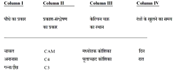 स्तंभ I (Column I) दिए गए पौधो को स्तंभो II, III, और IV में बताये गए उनके लक्षणो से सुमेल कीजिए.        इस आधार पर सही संयोजन का चुनाव कीजिए.

  A. चावल-C3- मध्योतक कोशिका-दिन, अनानास-CAM- मध्योतक कोशिका-रात. गन्ना-C4- पूलाच्छद कोशिका-दिन

  B. चावल-C3- मध्योतक कोशिका-दिन, अनानास-CAM- मध्योतक कोशिका-रात, गन्ना-C4- मध्योतक कोशिका-दिन

  C. चावल-C4-मध्योतक कोशिका-दिन, अनानास-3-पूलाच्छद कोशिका-रात, गन्ना-CAM- पूलाच्छद काशिका-दिन

  D. चावल-CAM- मध्योतक कोशिका-दिन, अनानास-CAM- मध्योतक कोशिका-दिन, गन्ना-C4- प्लाच्छद कोशिका-दिन