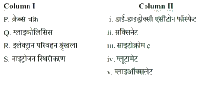 स्तम्भ (column) I में उपस्थित उपापचयी पथों को स्तम्भ II में उनके मध्यवर्ती (intermediate) अणुओं से सुमेल कीजिये।      सही संयोजन का चुनाव कीजिए। A. P
−
i
i
,
Q
−
I
,
R
−
i
i
i
,
S
−
i
v
 B. P
−
I
,
Q
−
v
,
R
−
i
v
,
S
−
i
i
 C. P
−
v
,
Q
−
I
,
R
−
i
i
i
,
S
−
i
v
 D. P
−
i
i
,
Q
−
I
,
R
−
i
i
i
,
S
−
v