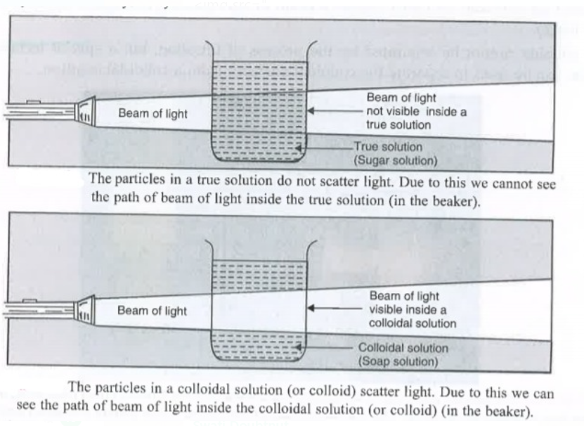 ocr_image