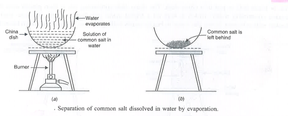 ocr_image