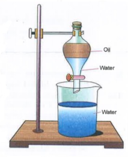 Observe the apparatus shown and answer the following questions.     (a) Identify the apparatus      (b) Design an activity to use this apparatus to separate the mixture oil and water.    (c ) Write the principle involved in this process.
