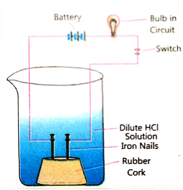 In an attempt to demonstrate electrical conductivity through an electrolyte, the apparatus set up is given. Which among the following statement (s) is (are) correct ?      (i) Bulb will not glow because electrolyte is not acidic   (ii) Bulb will glow because HCl is strong acid and furnishes ions for conduction.   (iii) Bulb will not glow because circuit is incomplete   (iv) Bulb will not glow because it depends upon the type of electrolytic solution