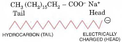 ocr_image