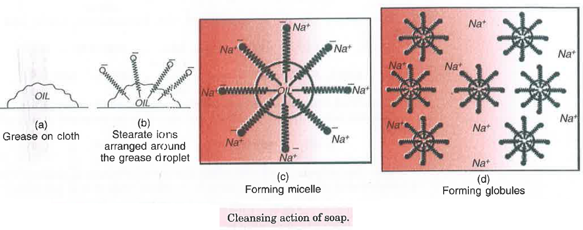 ocr_image
