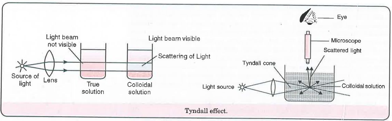 ocr_image
