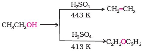 ocr_image