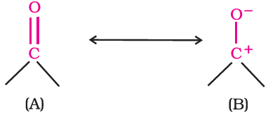 ocr_image
