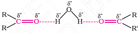 ocr_image